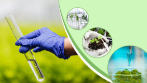 Mẫu kế hoạch quan trắc môi trường xây dựng riêng từng ngành nghề